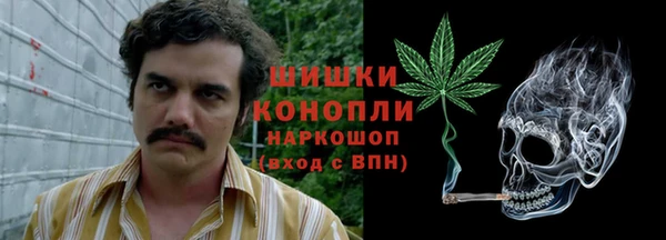 МДПВ Володарск