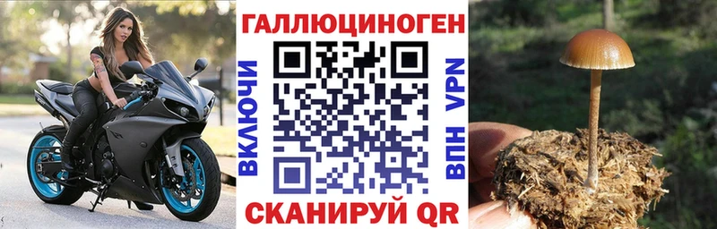 Галлюциногенные грибы мицелий  сколько стоит  Калуга 