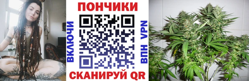 Каннабис сатива  Калуга 